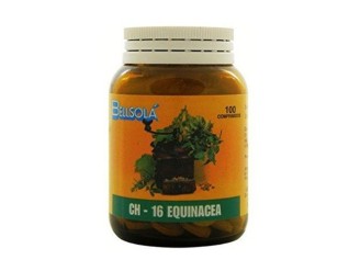 Ch16 echinácea sistema inmune