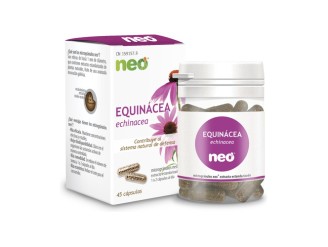 Echinacea