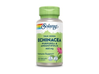 Echinacea