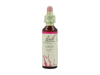 Bach Larch