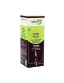 Olivo Macerado Glicerinado