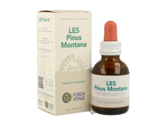 LES Pinus Montana