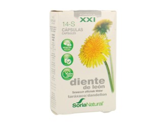 14 S Diente León (Fórmula XXI)