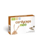 Cordyceps