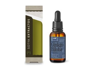 Extracto de Gingko Biloba